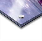 CCCI 21 Acrylic print