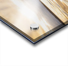 CCCI 19 Acrylic print