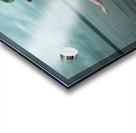 CCCI 17 Impression Acrylique