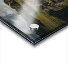 Sheep in the Faerie Circle Acrylic print