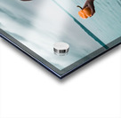 CCCI 3 Acrylic print