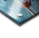 CCCI 2 Acrylic print