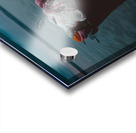 CCCI 1 Acrylic print