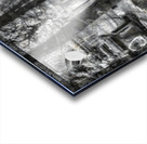 The Stranger Acrylic print