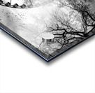 A Thought Acrylic print