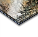 Lucid Paris Acrylic print