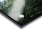 A Forest Acrylic print