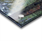 Hoh Rainforest Acrylic print