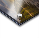 Its All Mine  Acrylic print