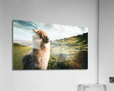 Faerie Circle Impression acrylique