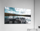 Swan I Acrylic Print