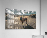 Faerie Circle Friend Acrylic Print