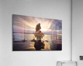 CCCI 29 Acrylic Print