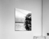 CCCI 25 Acrylic Print