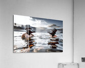 CCCI 9 Acrylic Print