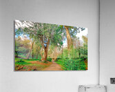Powerscourt Gardens Acrylic Print