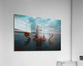 CCCI 2 Acrylic Print