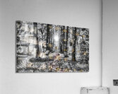 The Stranger Acrylic Print