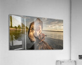 The Sun Deceptive Acrylic Print