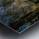 Old Man & The River Metal print