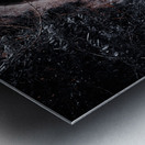 Lisdoovarna Metal print