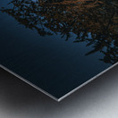 Blarney Castle Metal print