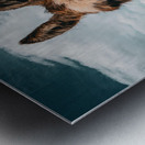 Faerie Circle II Metal print