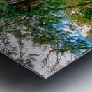 Powerscourt Gardens Metal print