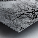 A Thought Metal print