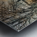 Lucid Paris Metal print