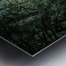 A Forest Metal print