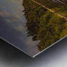 Its All Mine  Metal print