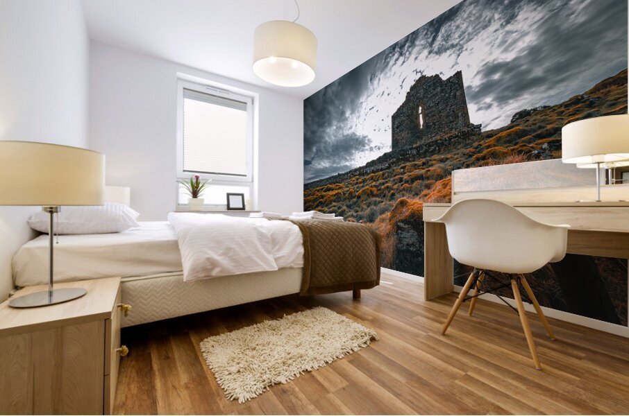 Abandoned Church II Mural print