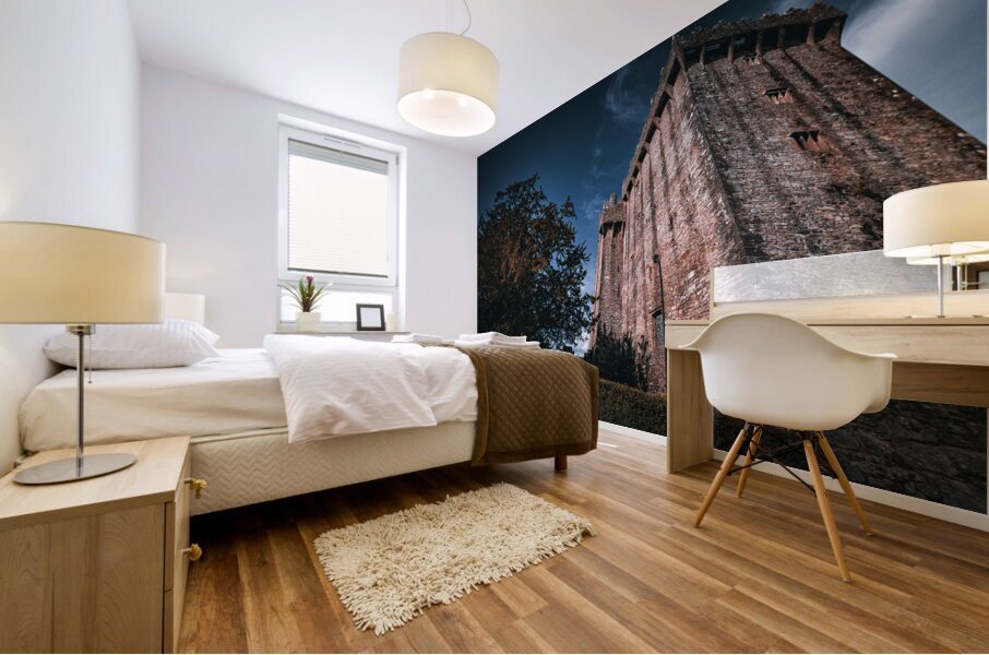 Blarney Castle Mural print