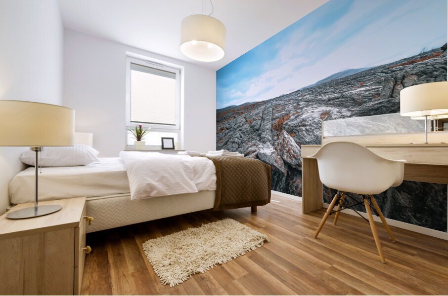 Burren National Park Mural print