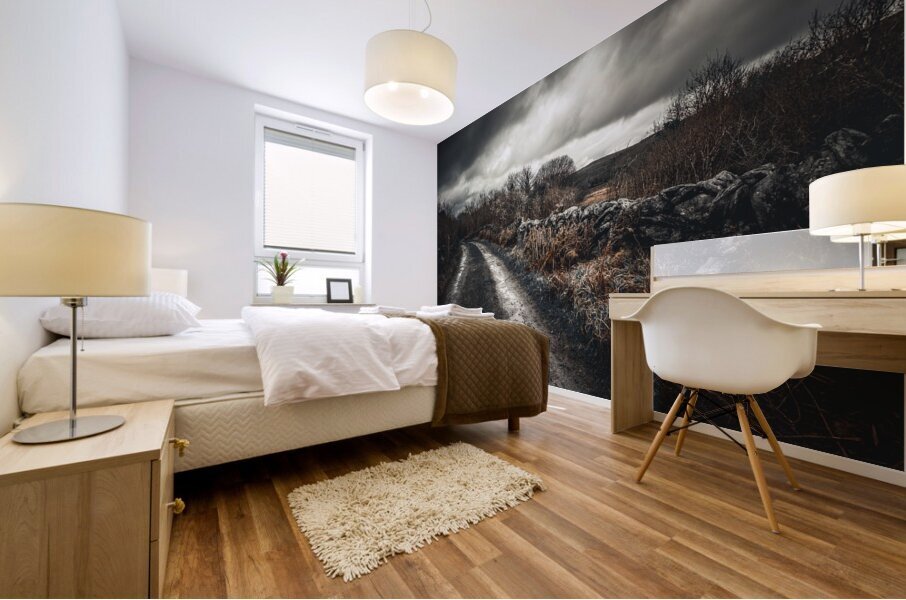 Burren National Park IV Mural print