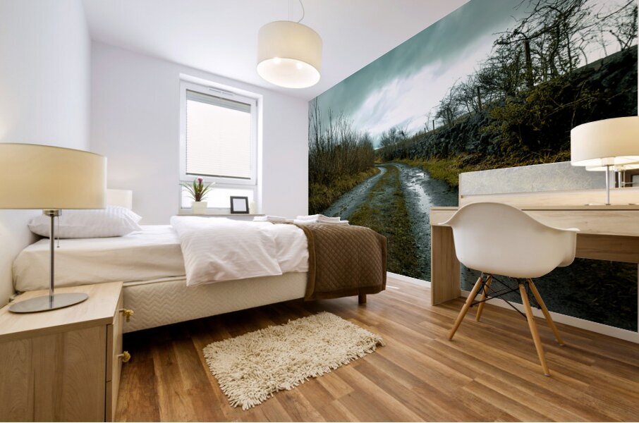 Burren National Park VI Mural print