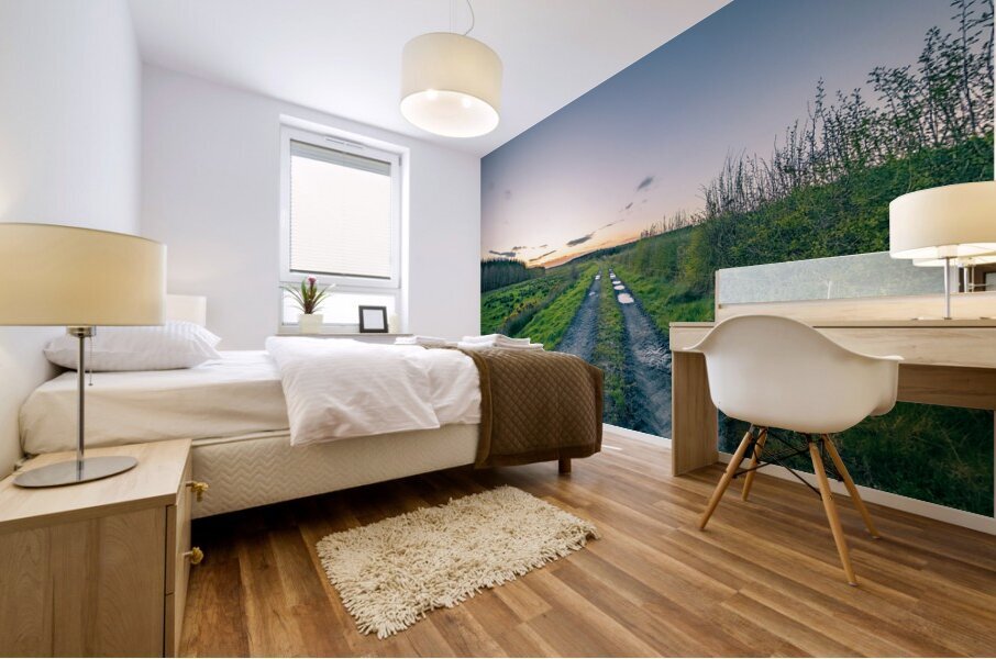 Irish Road Mural print