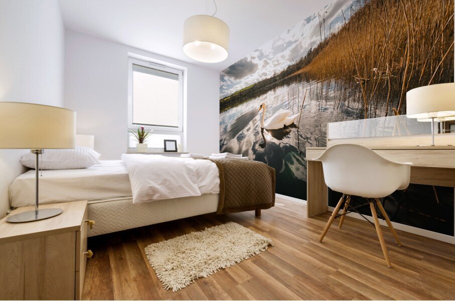 Swan Mural print