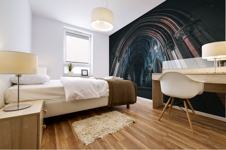 Saint Patricks Cathedral I Mural print