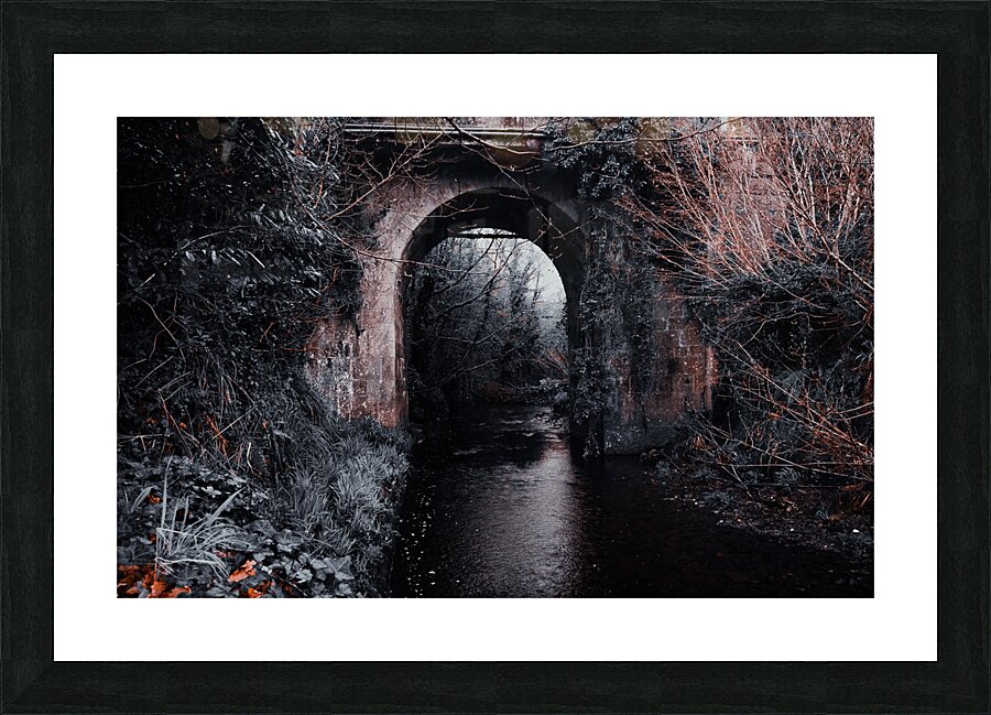 Lisdoovarna Picture Frame print