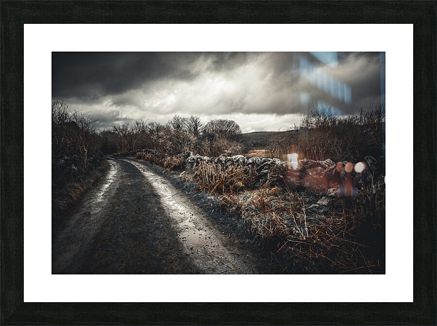 Burren National Park IV Picture Frame print