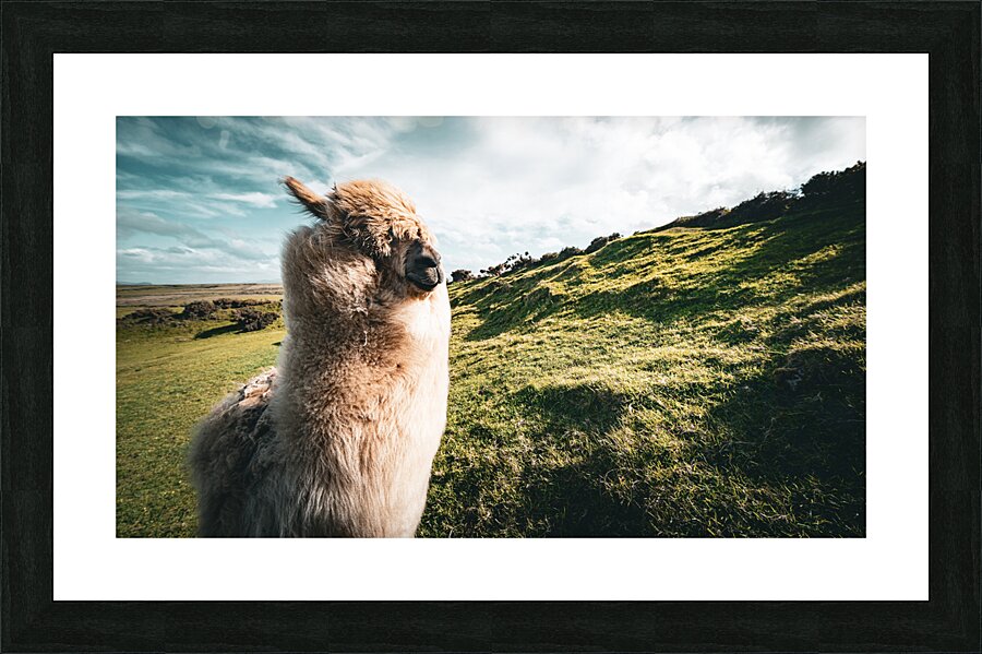 Faerie Circle Impression et Cadre photo