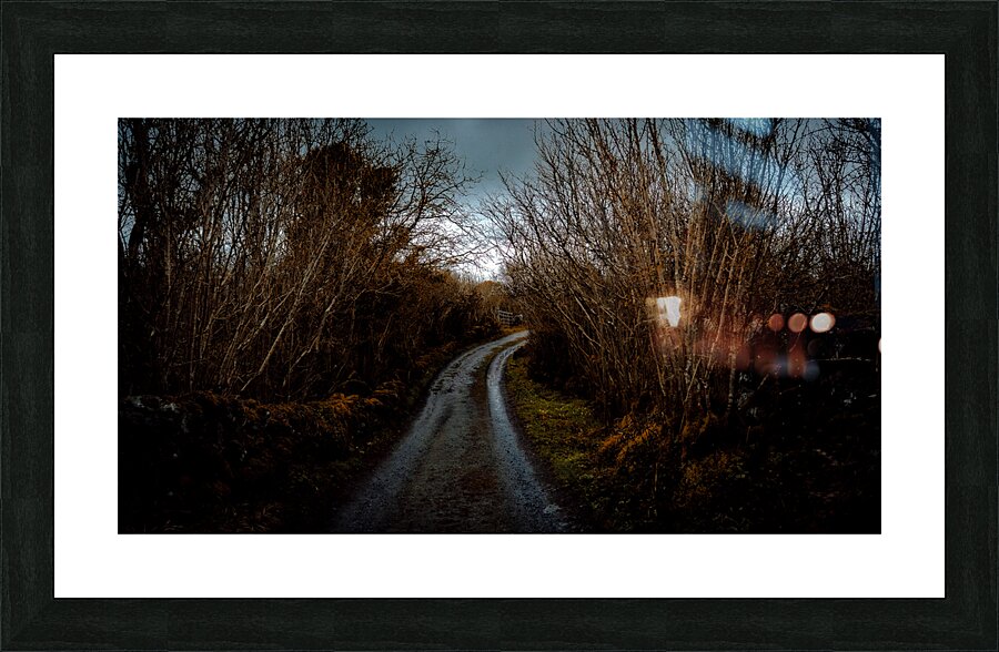 Burren National Park V Picture Frame print