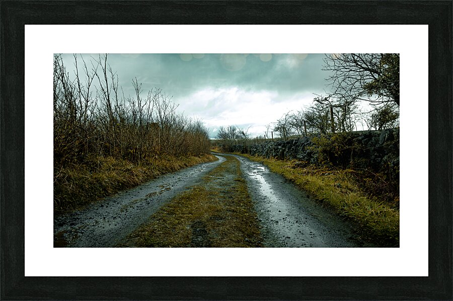Burren National Park VI Picture Frame print