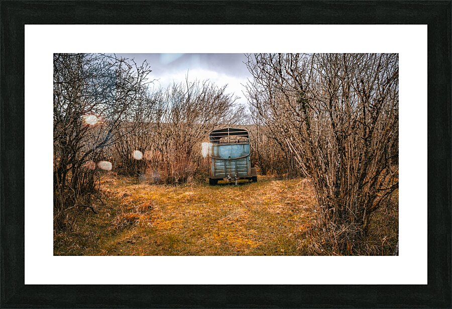 Burren National Park Picture Frame print