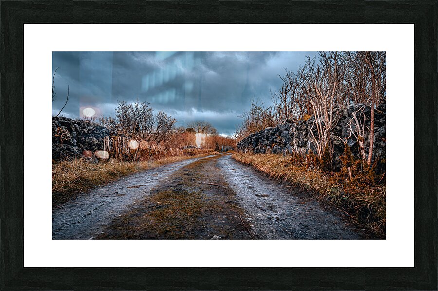 Burren National Park Picture Frame print