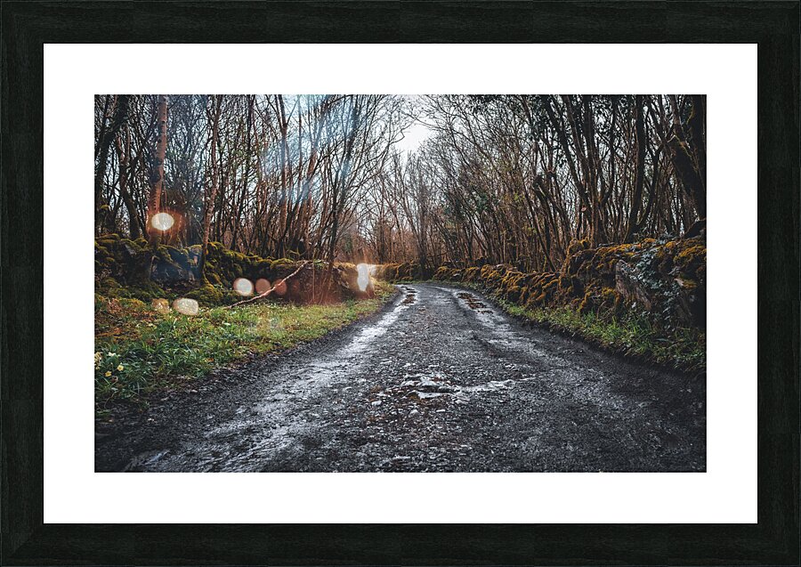 Burren National Park I Picture Frame print