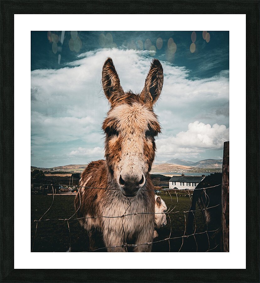 Faerie Circle II Picture Frame print