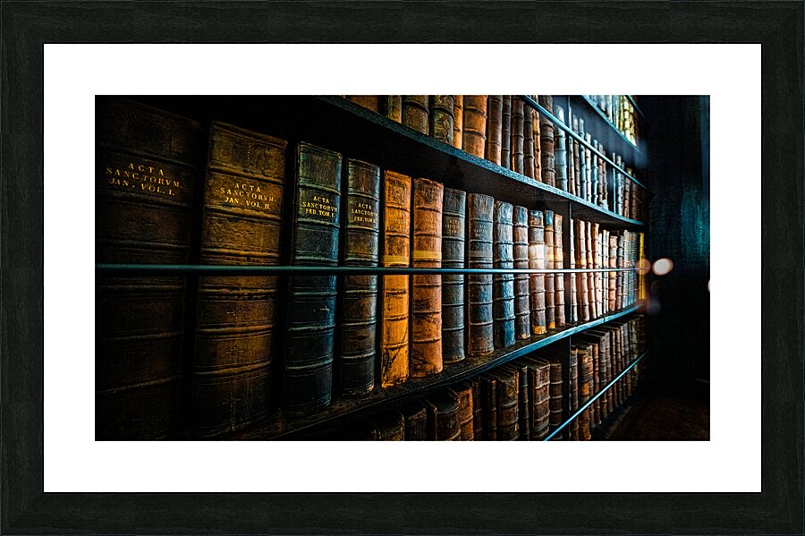 Marshs Library Picture Frame print